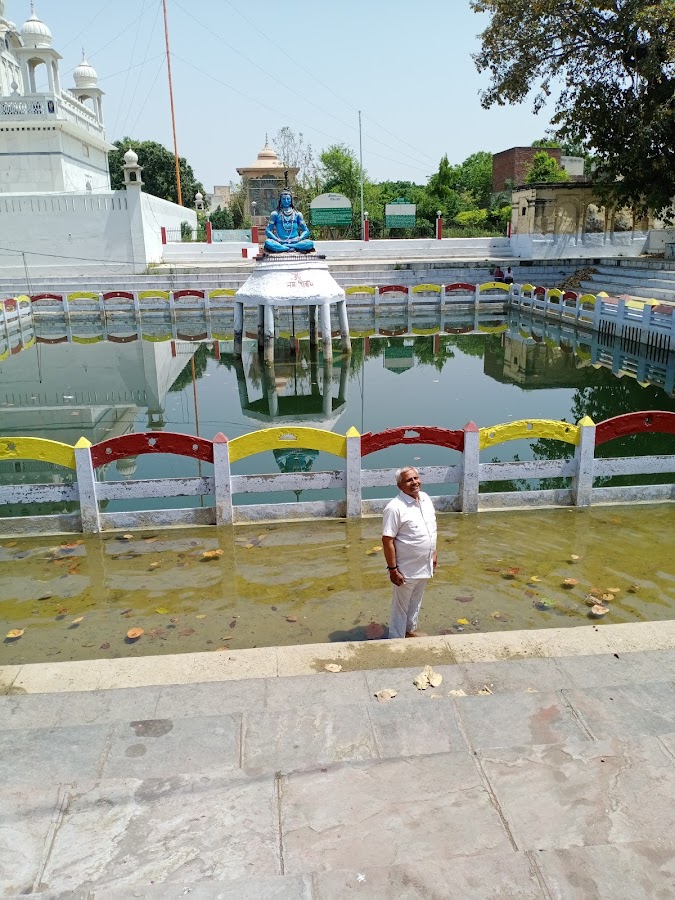 Sthaneshwar Mahadev Temple - Photo 2