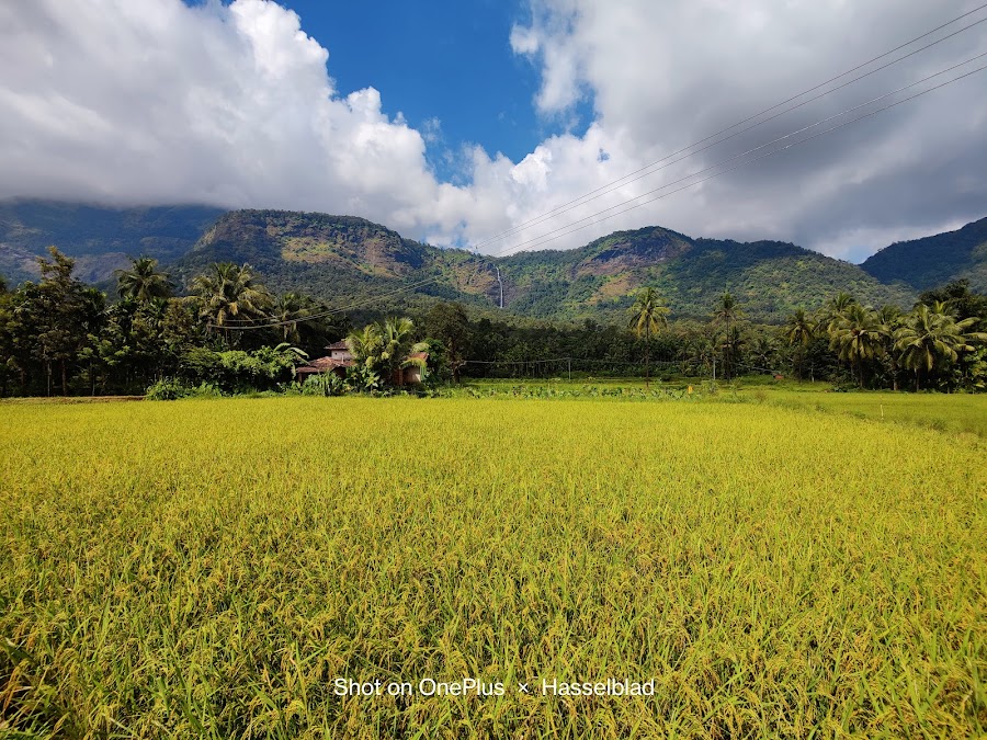 Belakallu Theertha - Photo 2