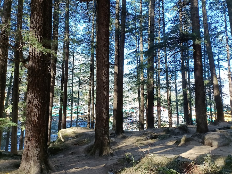 Hadimba Devi Temple - Photo 2