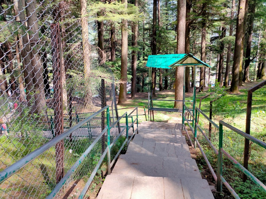 Hadimba Devi Temple - Photo 4
