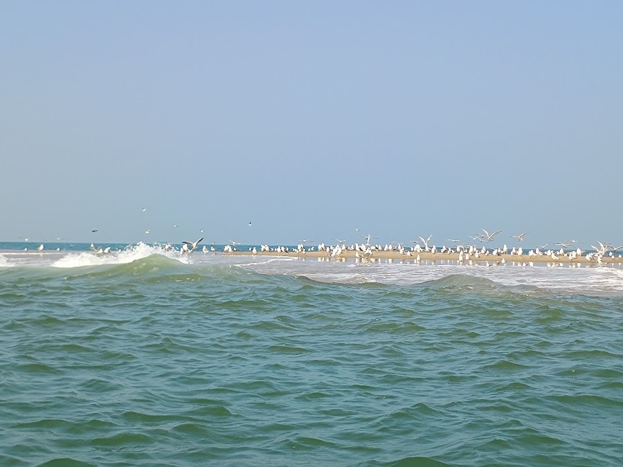 Tarkarli Beach - Photo 3
