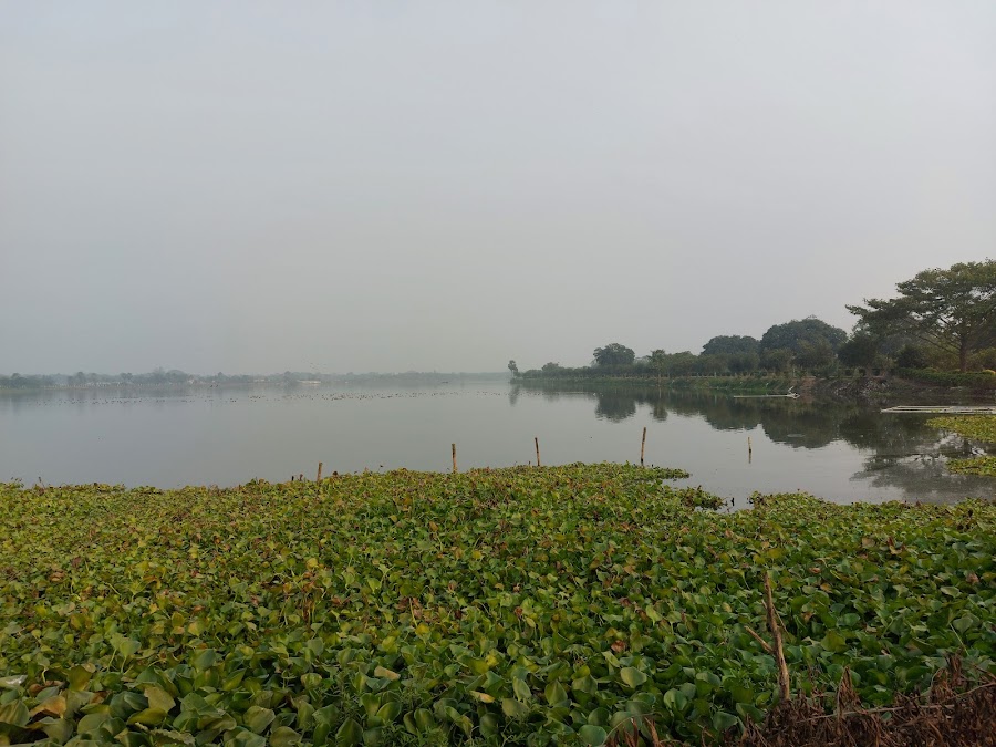 Lalbagh Botanical Garden - Photo 6