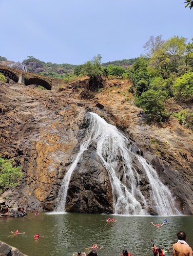 Dudhsagar Falls - Photo 3