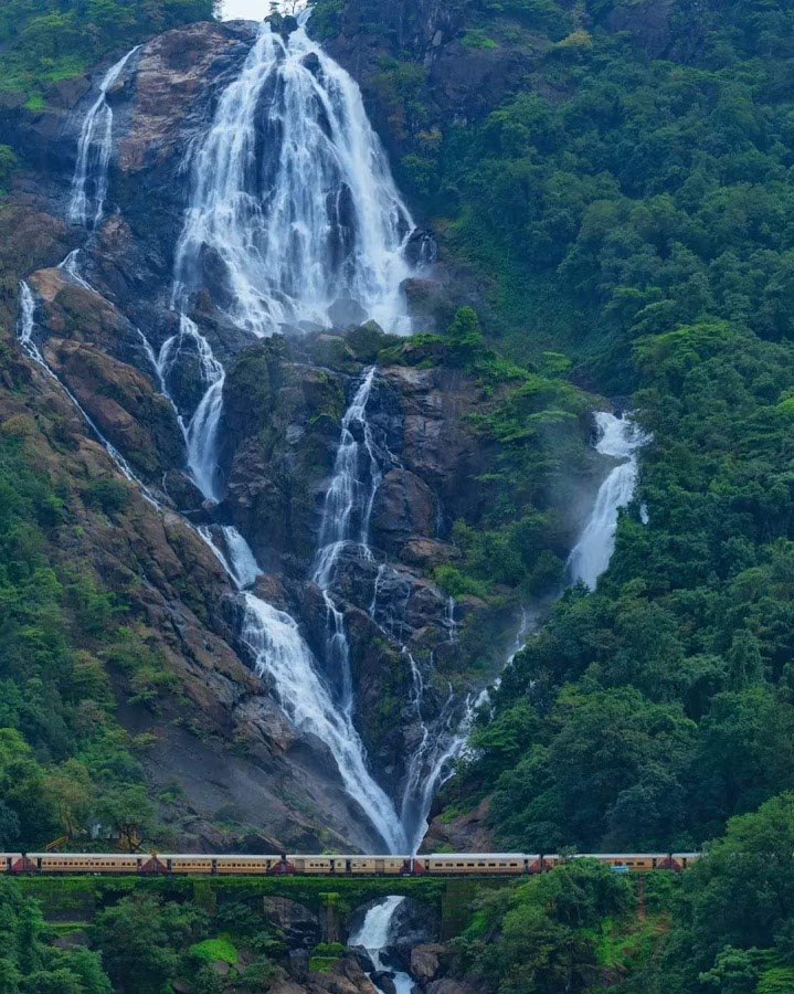 Dudhsagar Falls - Photo 10