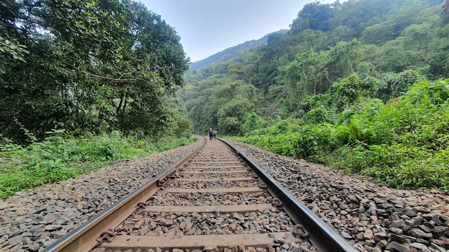 Dudhsagar Falls - Photo 9
