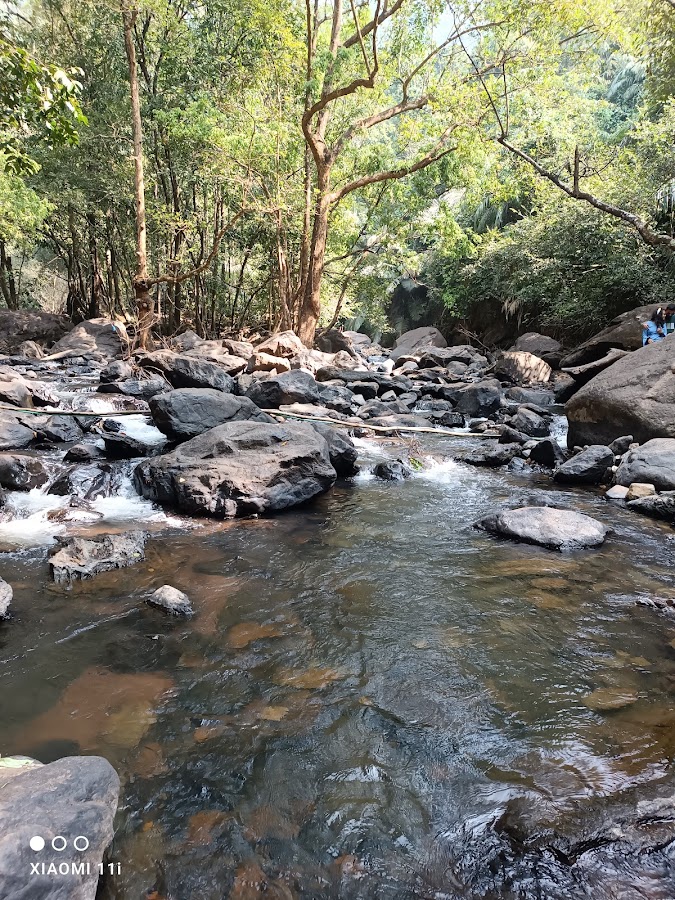 Dudhsagar Falls - Photo 8