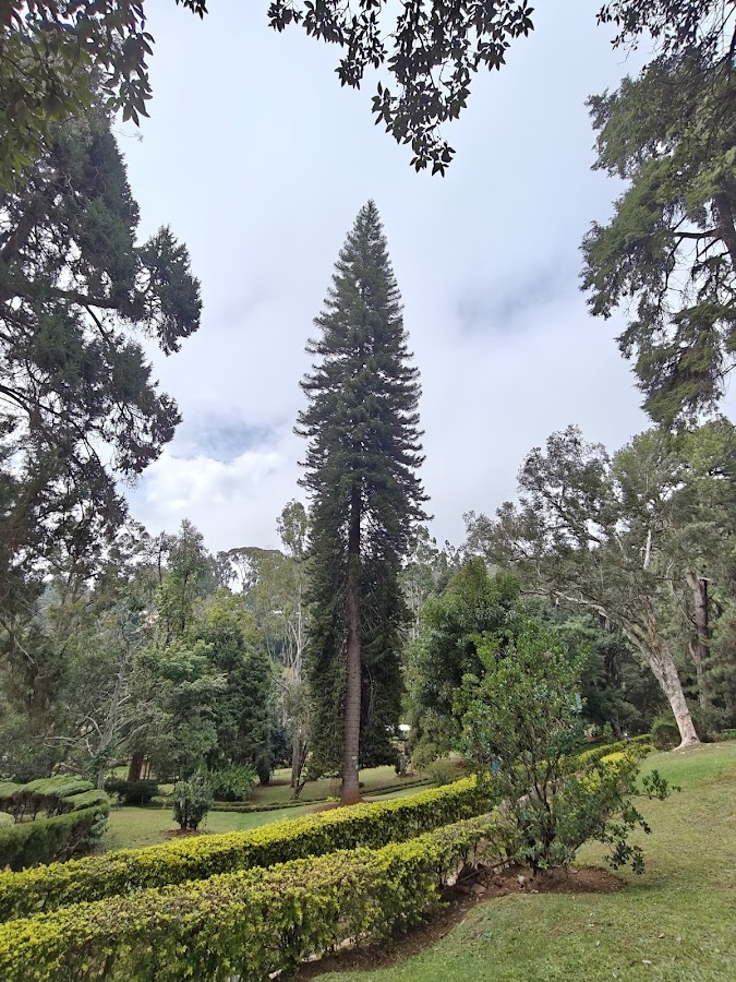 Sim's Park - Photo 4