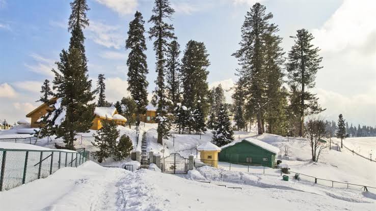 Patnitop - Photo 2