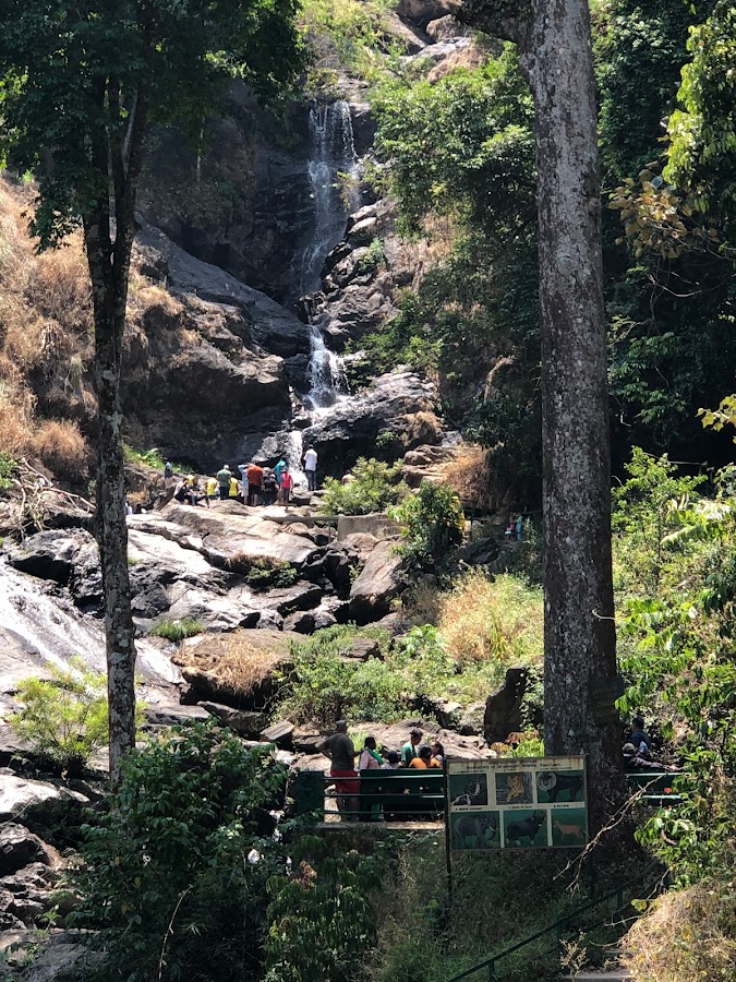 Lakshmana Teertha - Photo 4