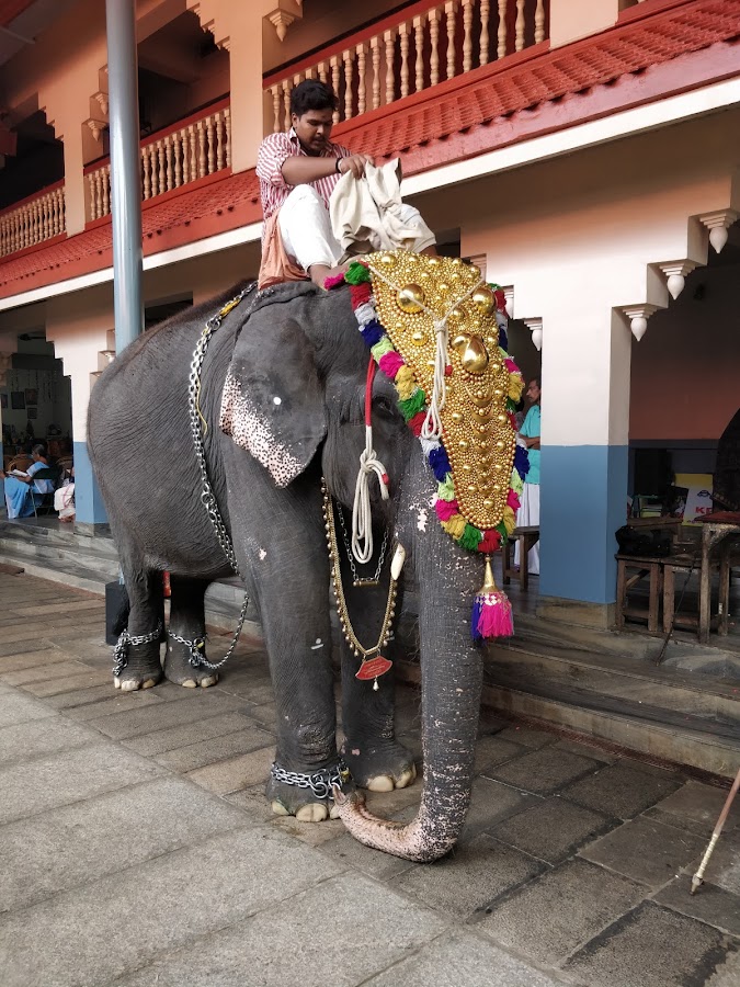 Thiruvambadi Sri Krishna Temple - Photo 3