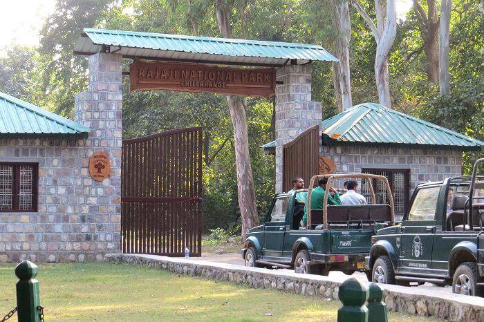 Rajaji National Park - Photo 5