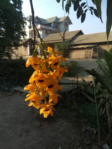 Kakching - Photo 5