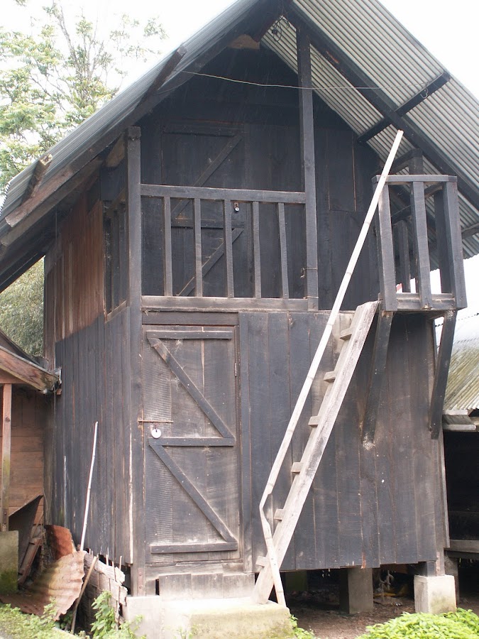 Hong - Photo 3
