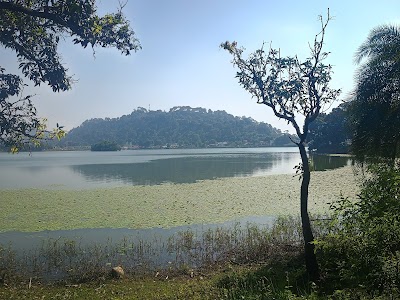 Surinsar Lake