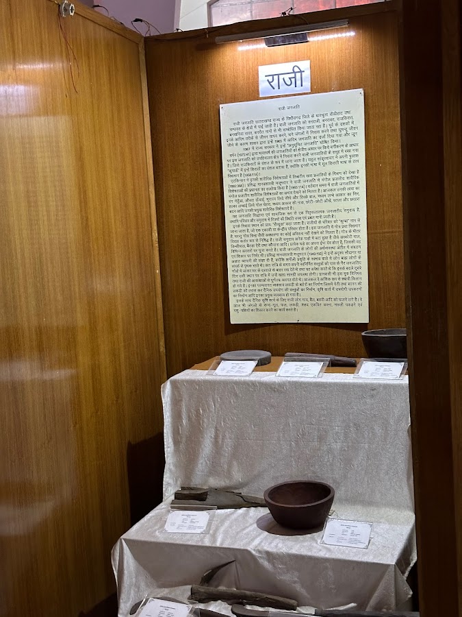 Zonal Anthropological Museum - Photo 9