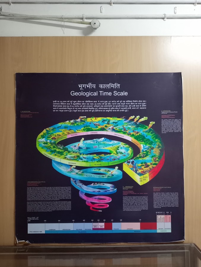 Zonal Anthropological Museum - Photo 4
