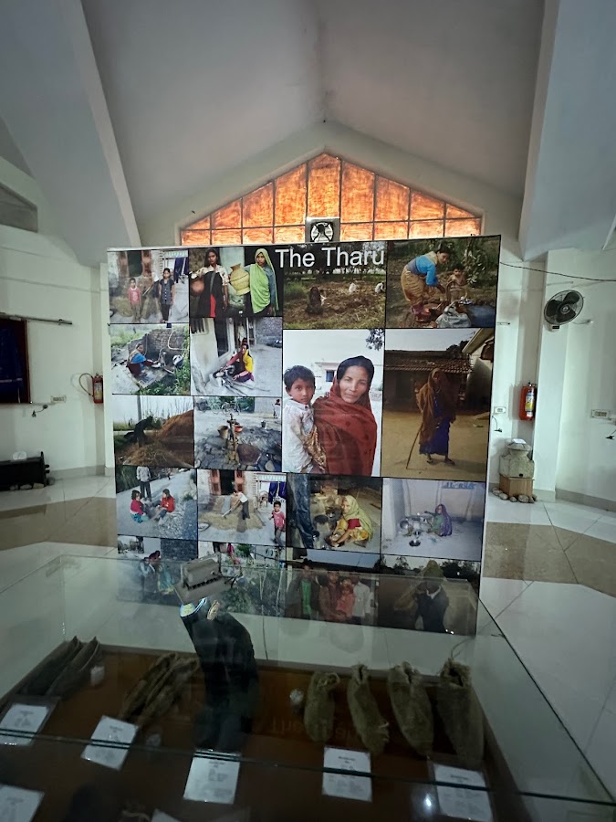 Zonal Anthropological Museum - Photo 6