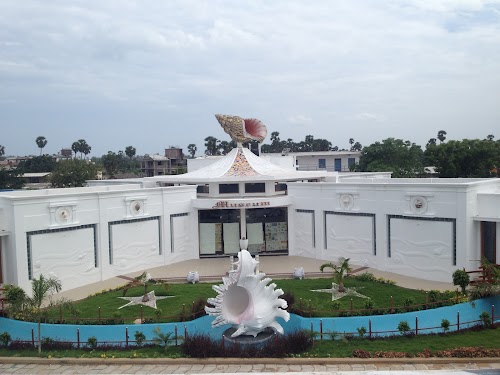 India Seashell Museum