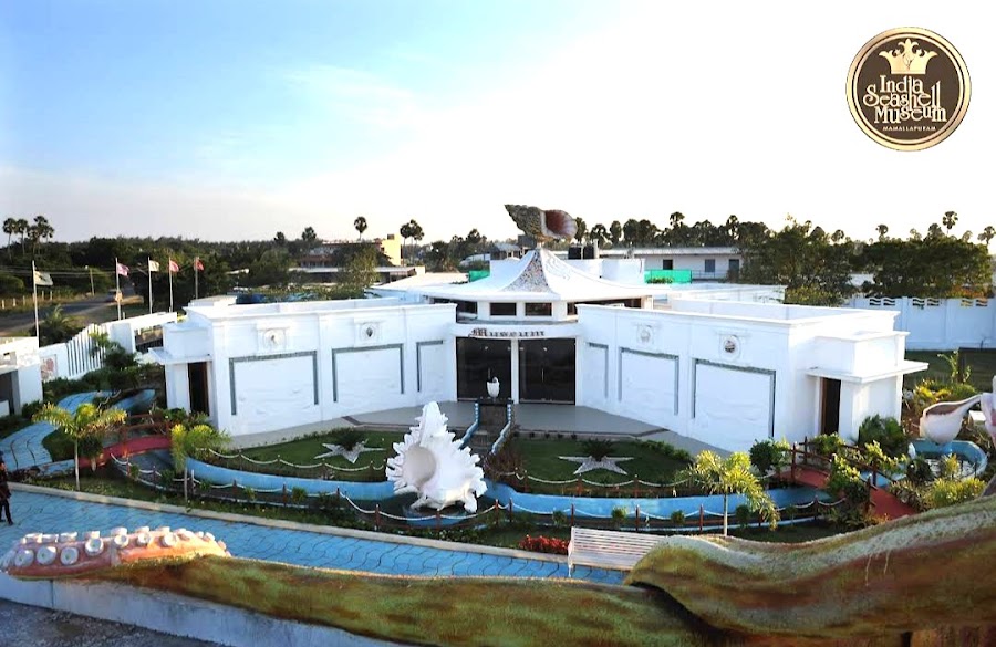 India Seashell Museum - Photo 2