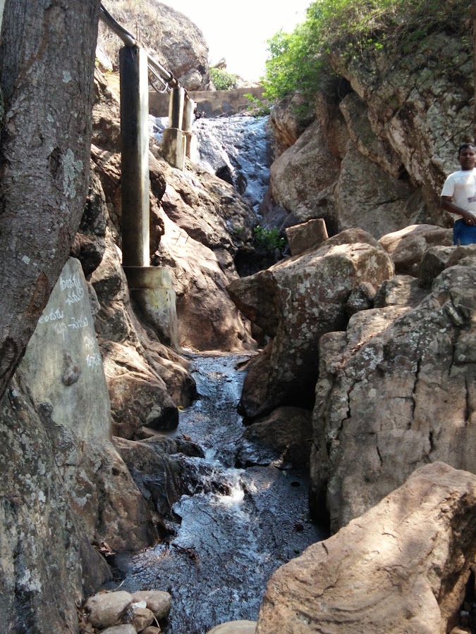 Rana Jilleda Water Falls - Photo 2