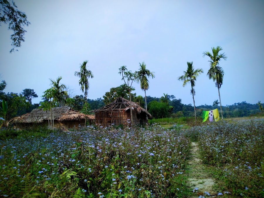 Deomali - Photo 3
