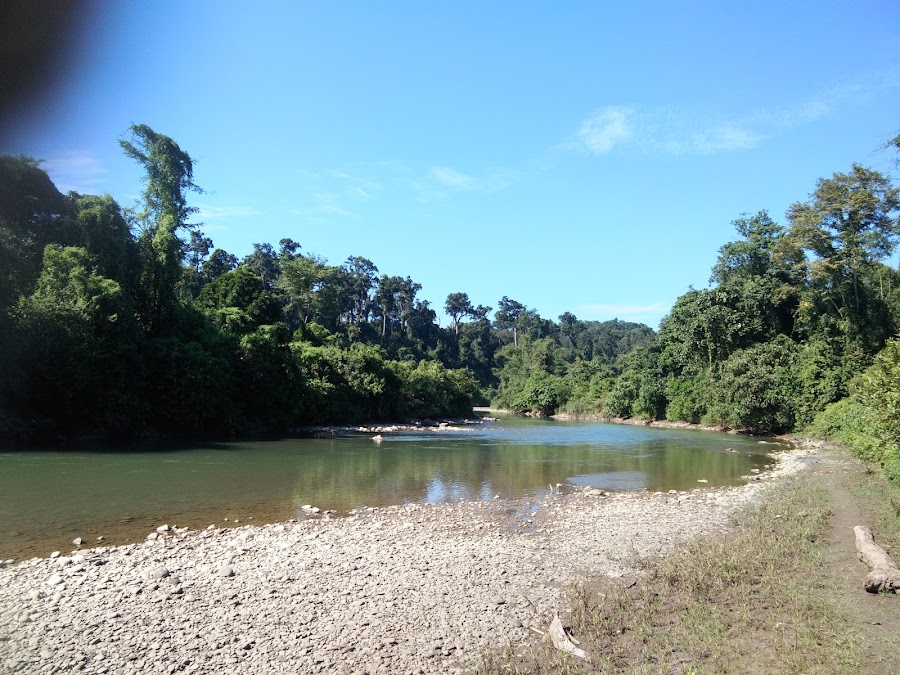 Deomali - Photo 2