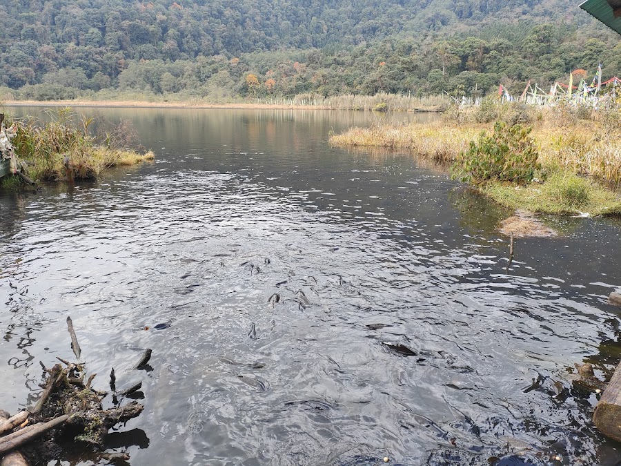 Khecheopalri Lake - Photo 3