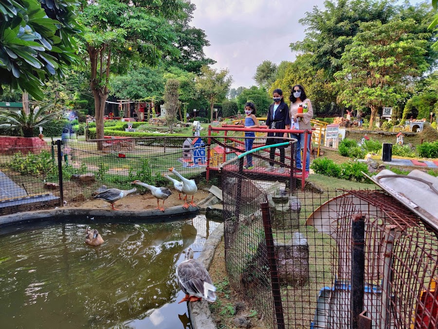 NeverEnuf Garden Railway - Photo 3