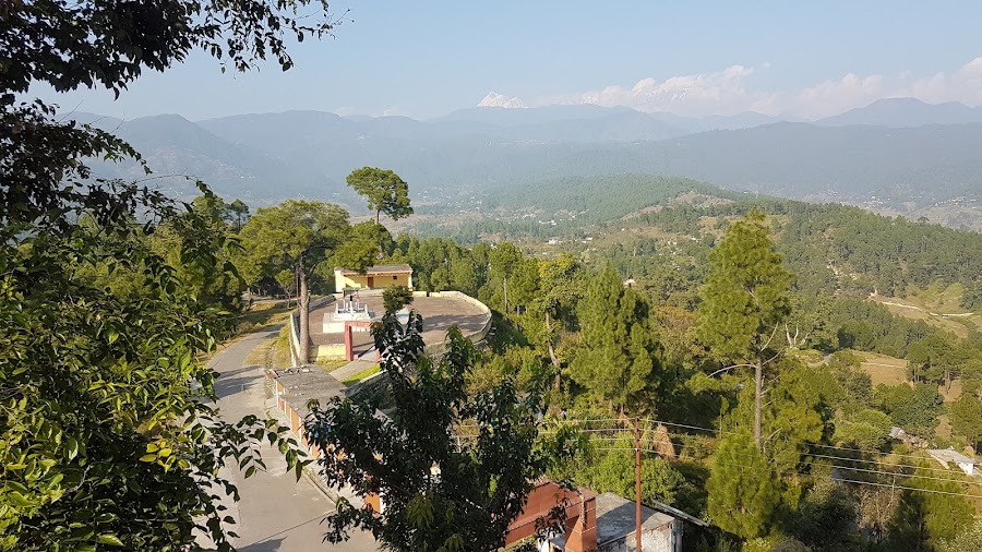 Kot Bhramari Temple - Photo 3