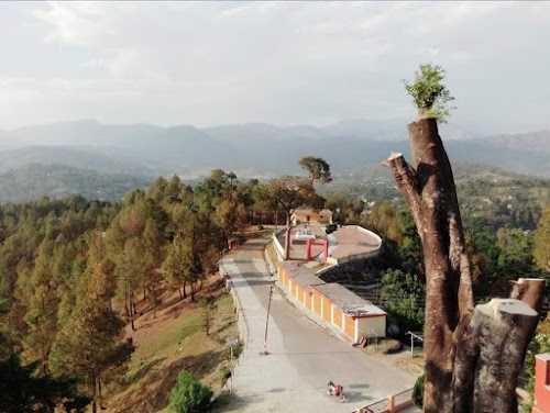 Kot Bhramari Temple - Photo 3