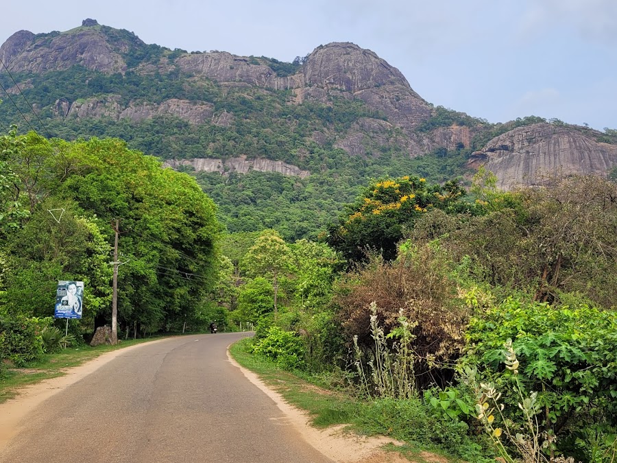 Kava View Point - Photo 4