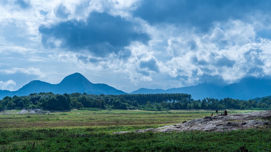 Kava View Point - Photo 3