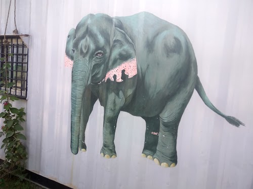 Wildlife SOS - Elephant Conservation and Care Center - Photo 4