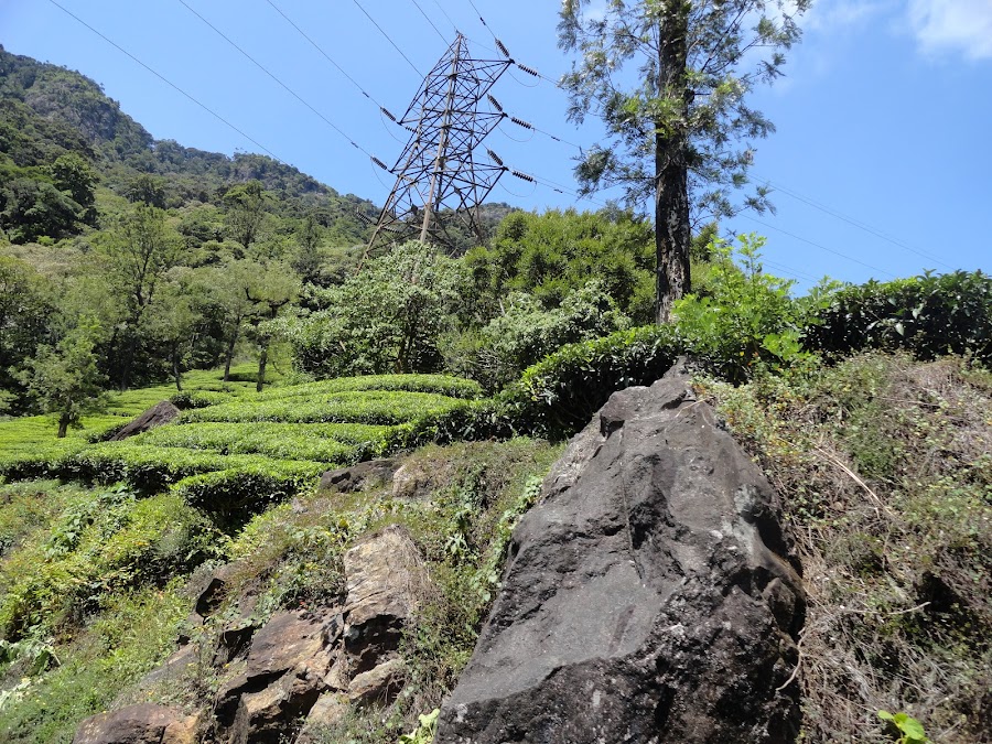 Manjolai Hills - Photo 2
