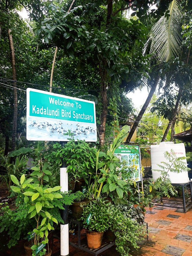 Kadalundi Bird Sanctuary - Photo 3