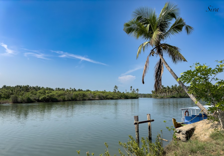 Kadalundi Bird Sanctuary - Photo 2
