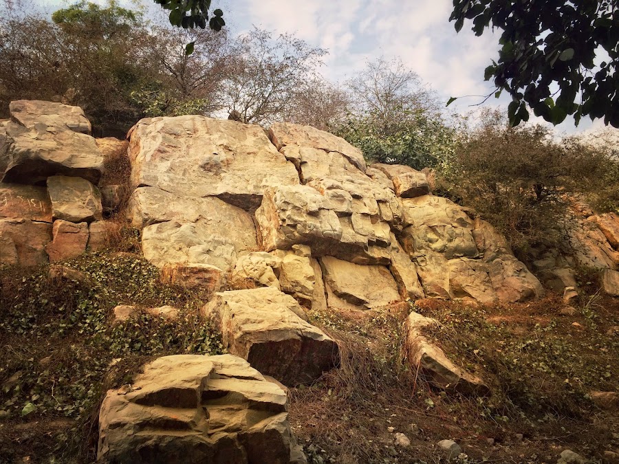 Govardhan Hill - Photo 3