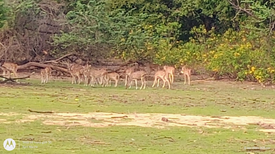 Pocharam Wildlife Sanctuary - Photo 6