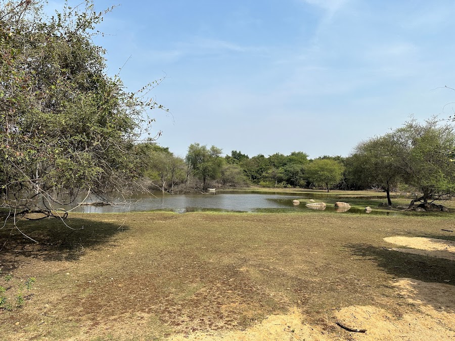 Pocharam Wildlife Sanctuary - Photo 5