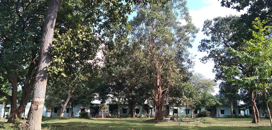 Barnawapara Wildlife Sanctuary - Photo 2