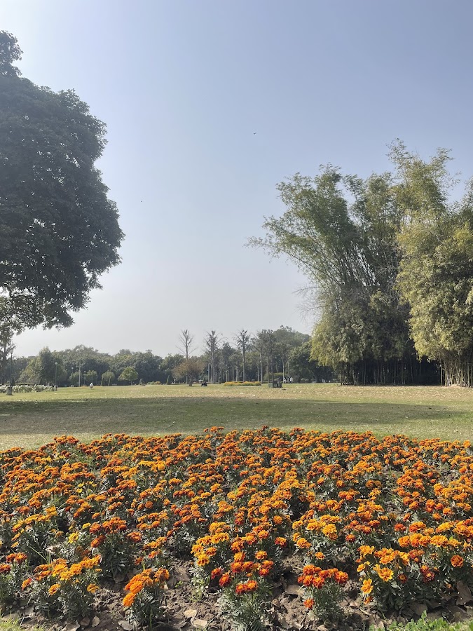 Garden of Fragrance - Photo 3