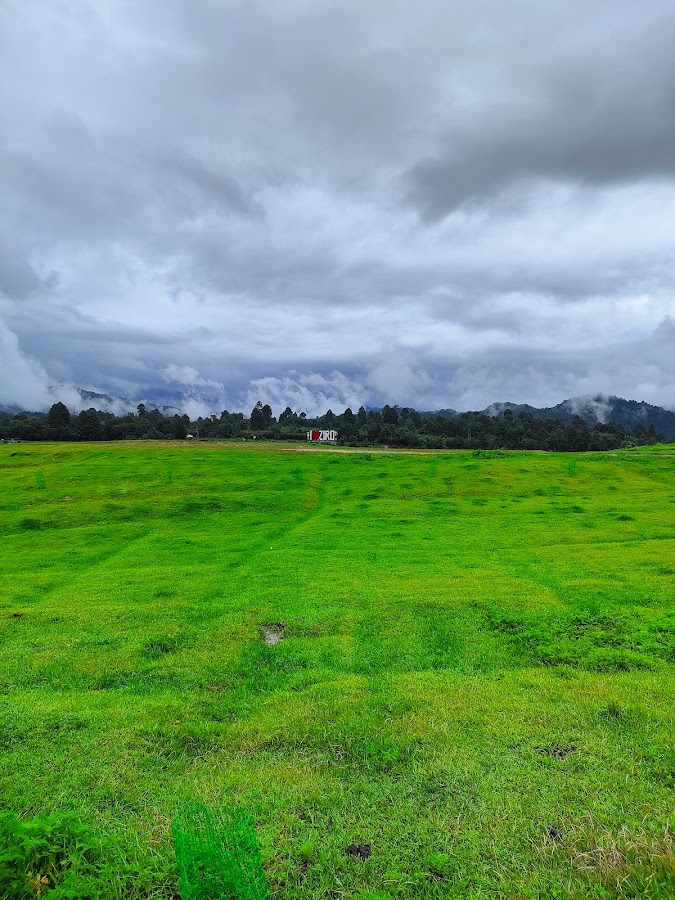 Ziro Puto - Photo 3