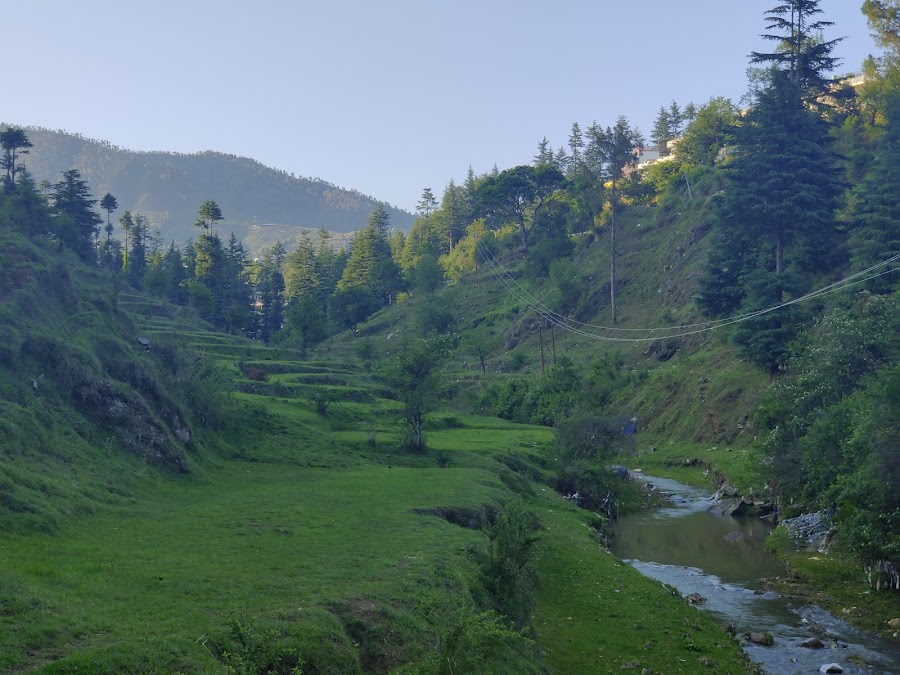 Lohaghat - Photo 3