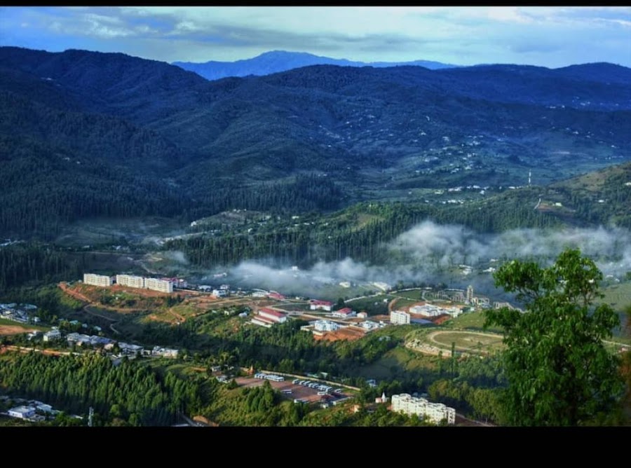 Lohaghat - Photo 4