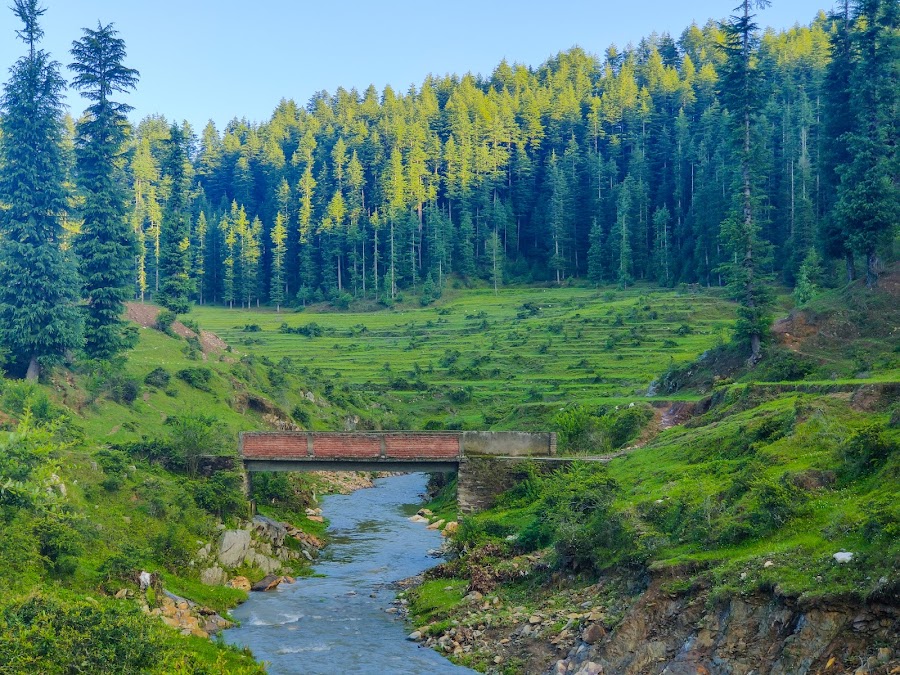 Lohaghat - Photo 5