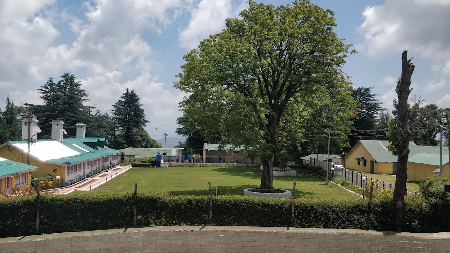 Cricket Ground - Photo 4