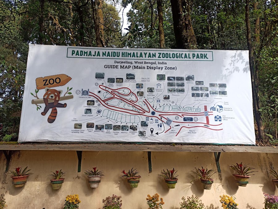 Padmaja Naidu Himalayan Zoological Park (Darjeeling Zoo) - Photo 2