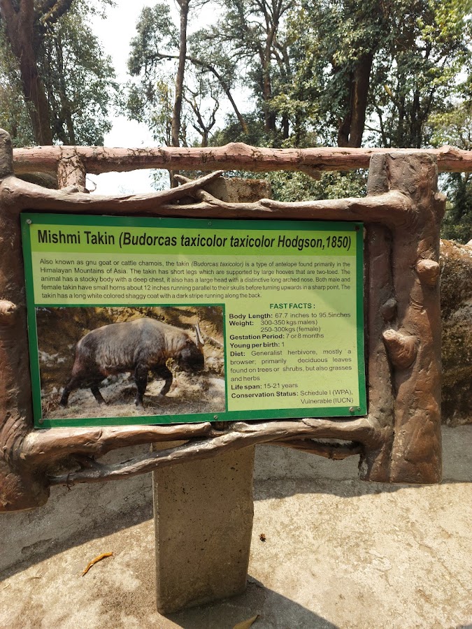 Padmaja Naidu Himalayan Zoological Park (Darjeeling Zoo) - Photo 4