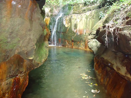 Baghmara - Photo 4