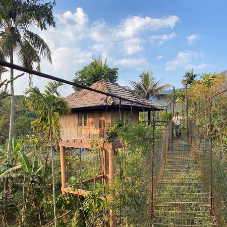 Green Park Ayurvedic & Spices Plantation - Photo 2
